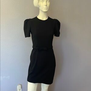 Express Black Sheath Mini Dress with Puff Sleeves